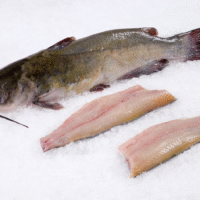Frozen Big Cat Fish