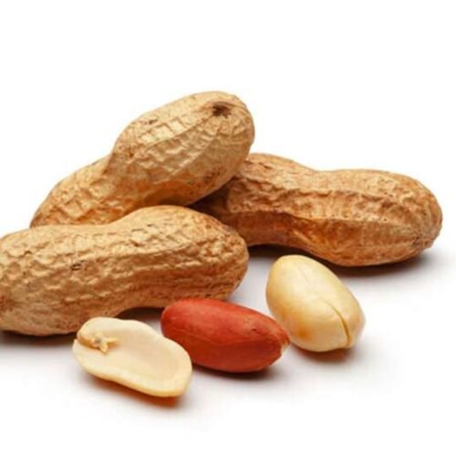 Groundnut