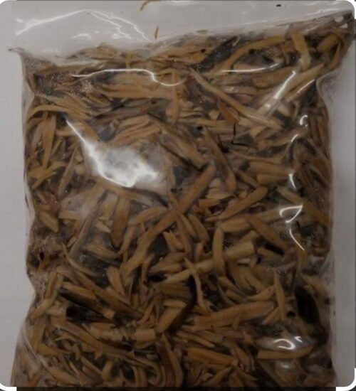 Fresh Ugba (African Oil bean seed) 500g